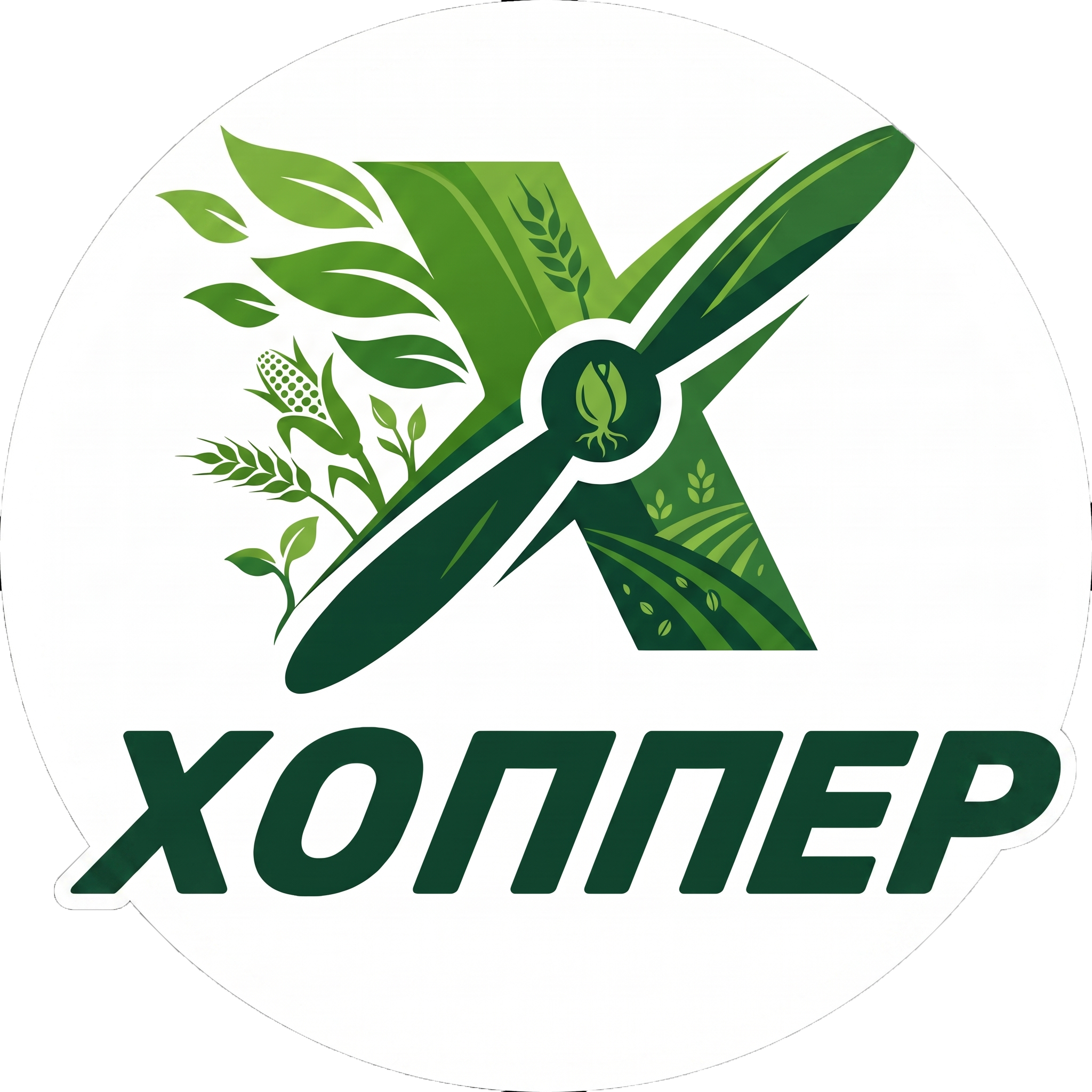 Логотип Хоппер